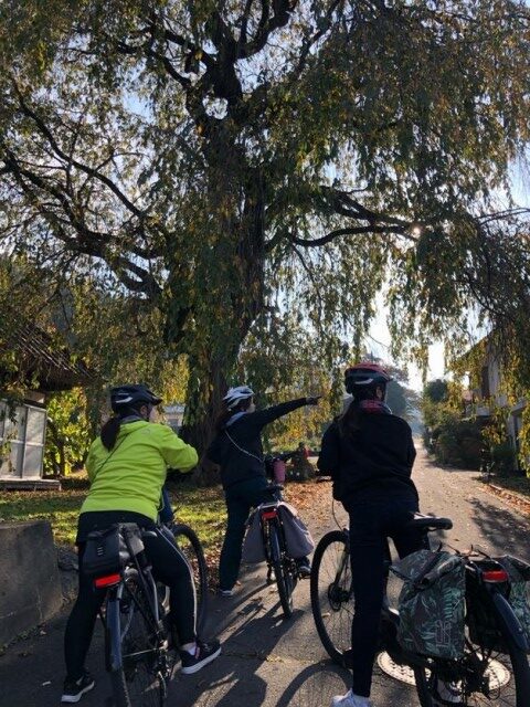 高山村紅葉めぐりイーバイクツアー