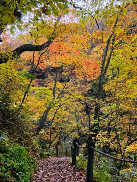 高山村紅葉めぐりイーバイクツアー