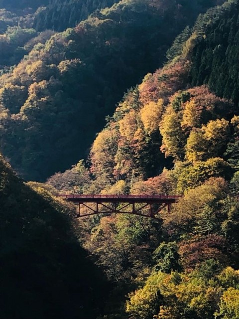 高山村紅葉めぐりイーバイクツアー高井橋