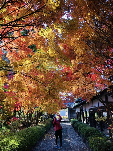 高山村紅葉めぐりイーバイクツアー