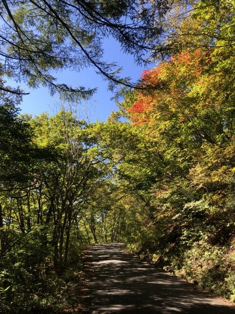 カヤノ平サイクリング