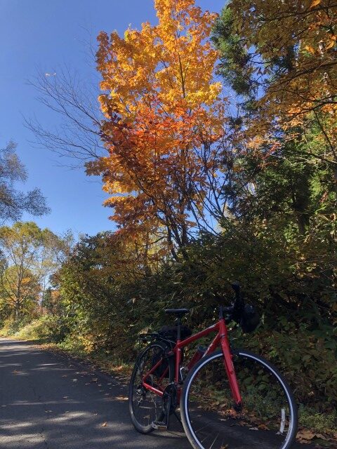 カヤノ平サイクリング