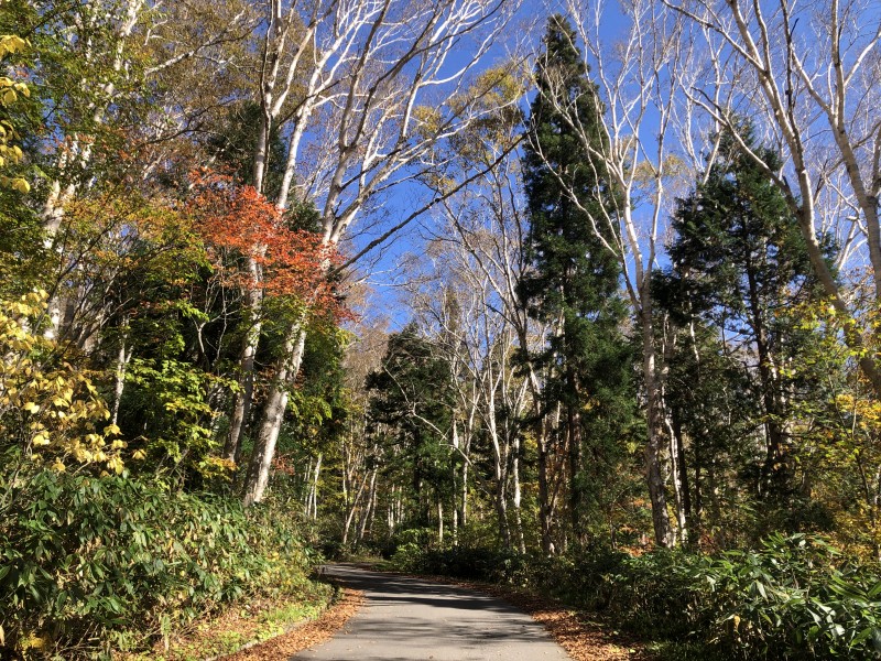 カヤノ平サイクリング