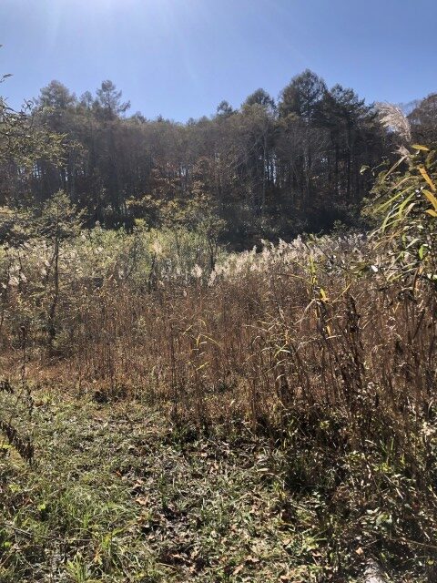 カヤノ平サイクリング　南ドブ湿原