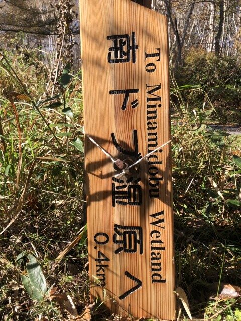 カヤノ平サイクリング　南ドブ湿原