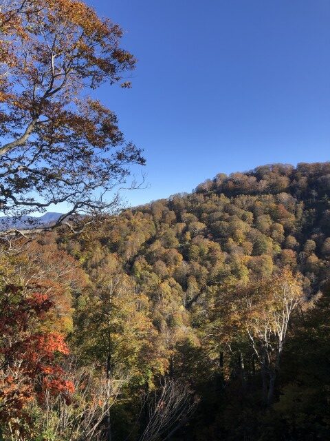 カヤノ平サイクリング