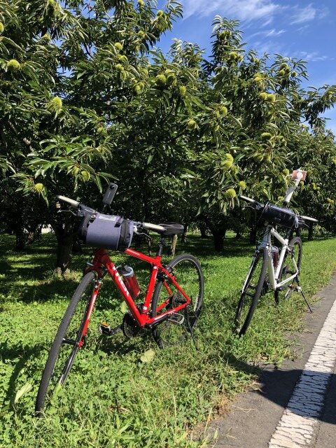 小布施穴場スポット