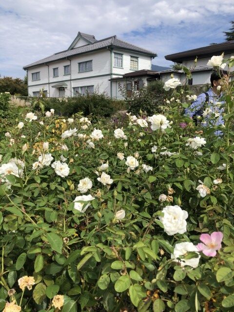 長電サイクルトレイン小布施中野編