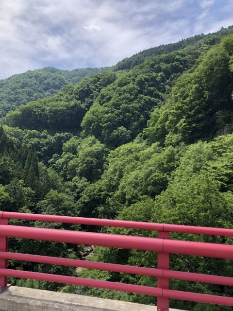 高井橋
