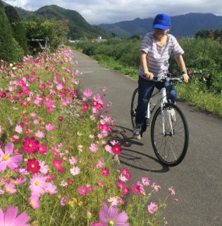 小布施コスモスライド 昔は暴れ川、松川堤防