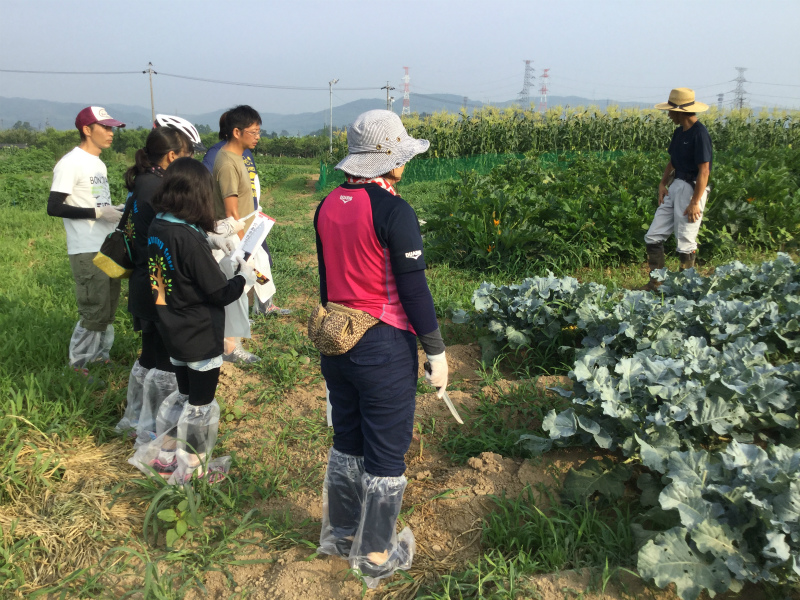 小布施の農家さんちで朝食ライド　野菜の説明を聞く