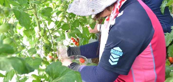 小布施栗原さんちで朝食ライド