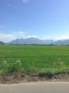 延徳田んぼをサイクリング