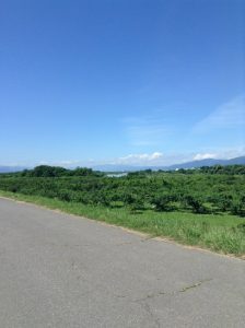 千曲川サイクリングロード　小布施
