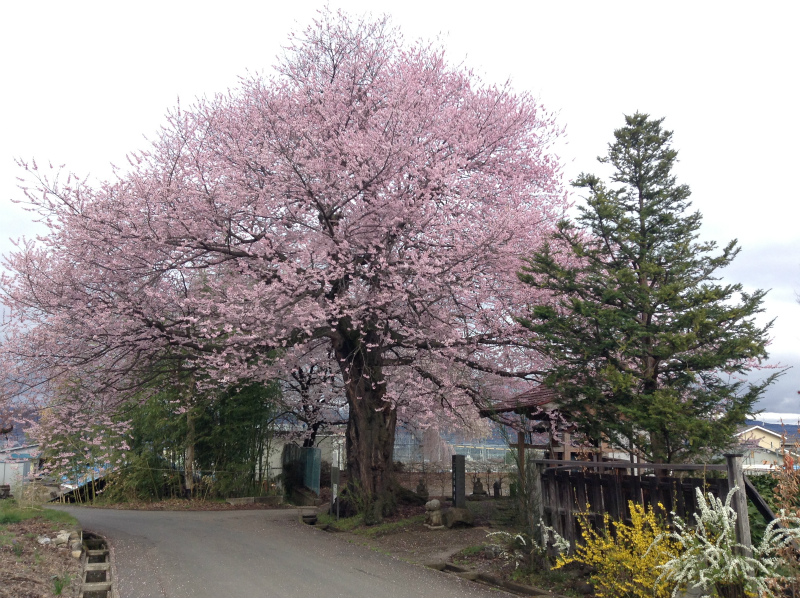 須坂市野辺の廣正寺