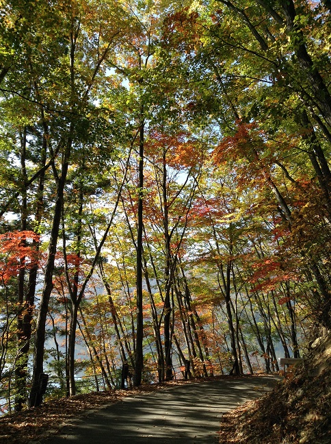 青木湖周遊道路の紅葉