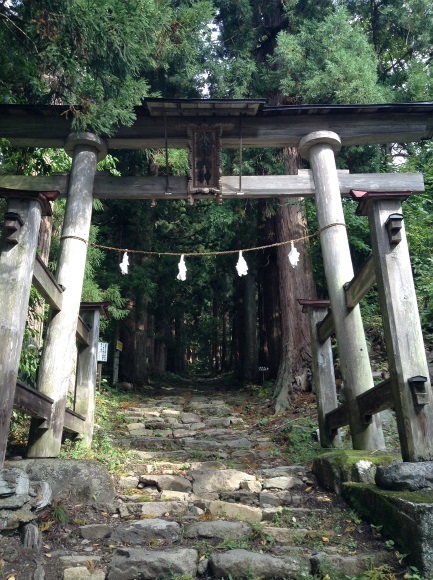 小菅神社杉並木参道入り口