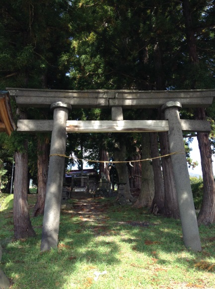 飯山巨木を巡るサイクリング　山田神社