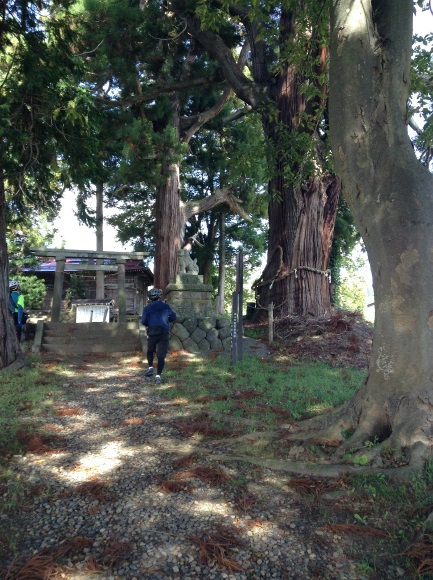 飯山巨木を巡るサイクリング　山田神社