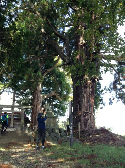 飯山巨木を巡るサイクリング　山田神社