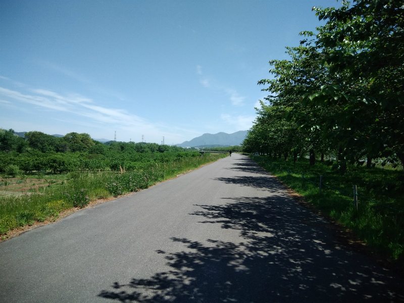 小布施千曲川サイクリングロード