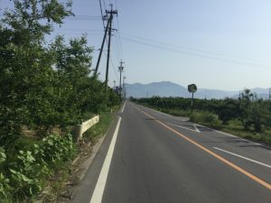 北信濃くだもの街道
