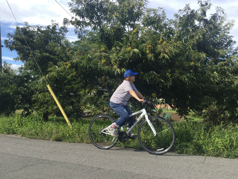 栗林サイクリング