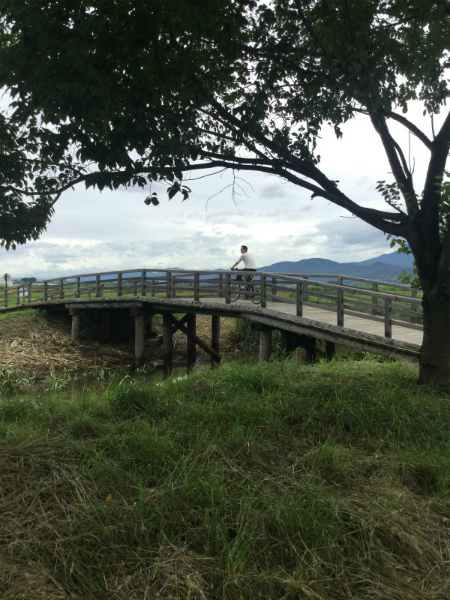 中野延徳田んぼ木製橋