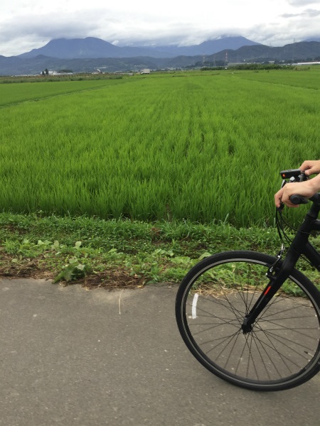 延徳田んぼサイクリング