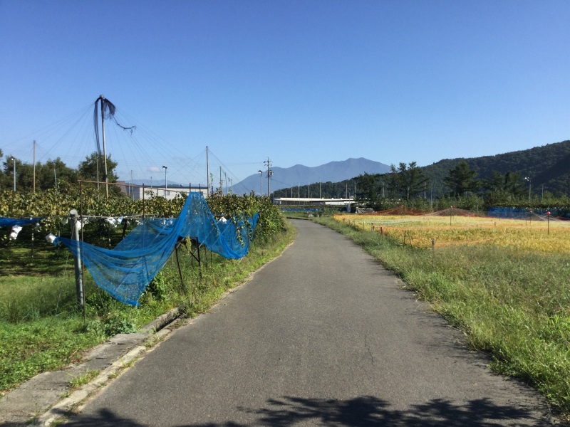 岩松院横の道