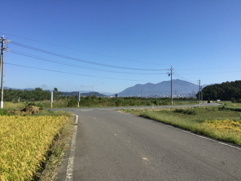 県道にでたら右折