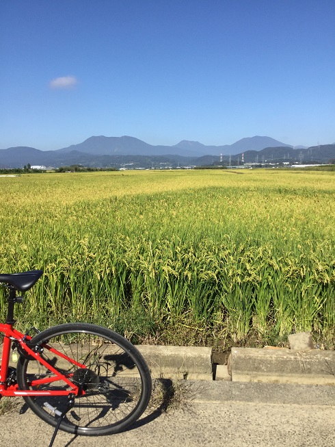 延徳田んぼサイクリング