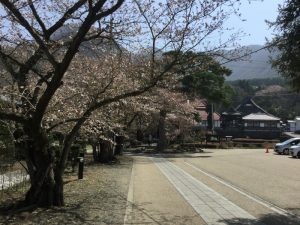 小布施岩松院せせらぎ緑道サイクリング　岩松院到着