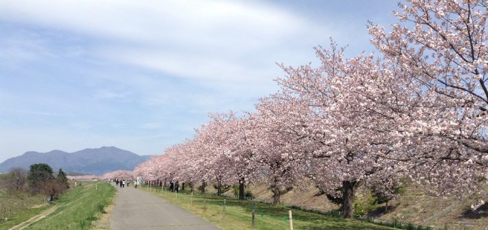 小布施サイクリングロード