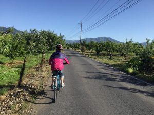 須坂へサイクリング　日滝の農道