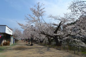 須坂臥竜公園