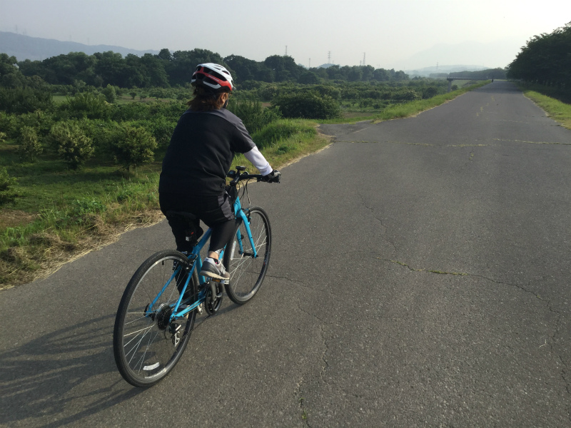 千曲川サイクリングロード小布施橋付近