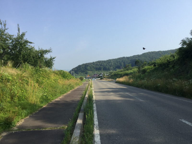 北信五岳道路最初の上りはここまで。